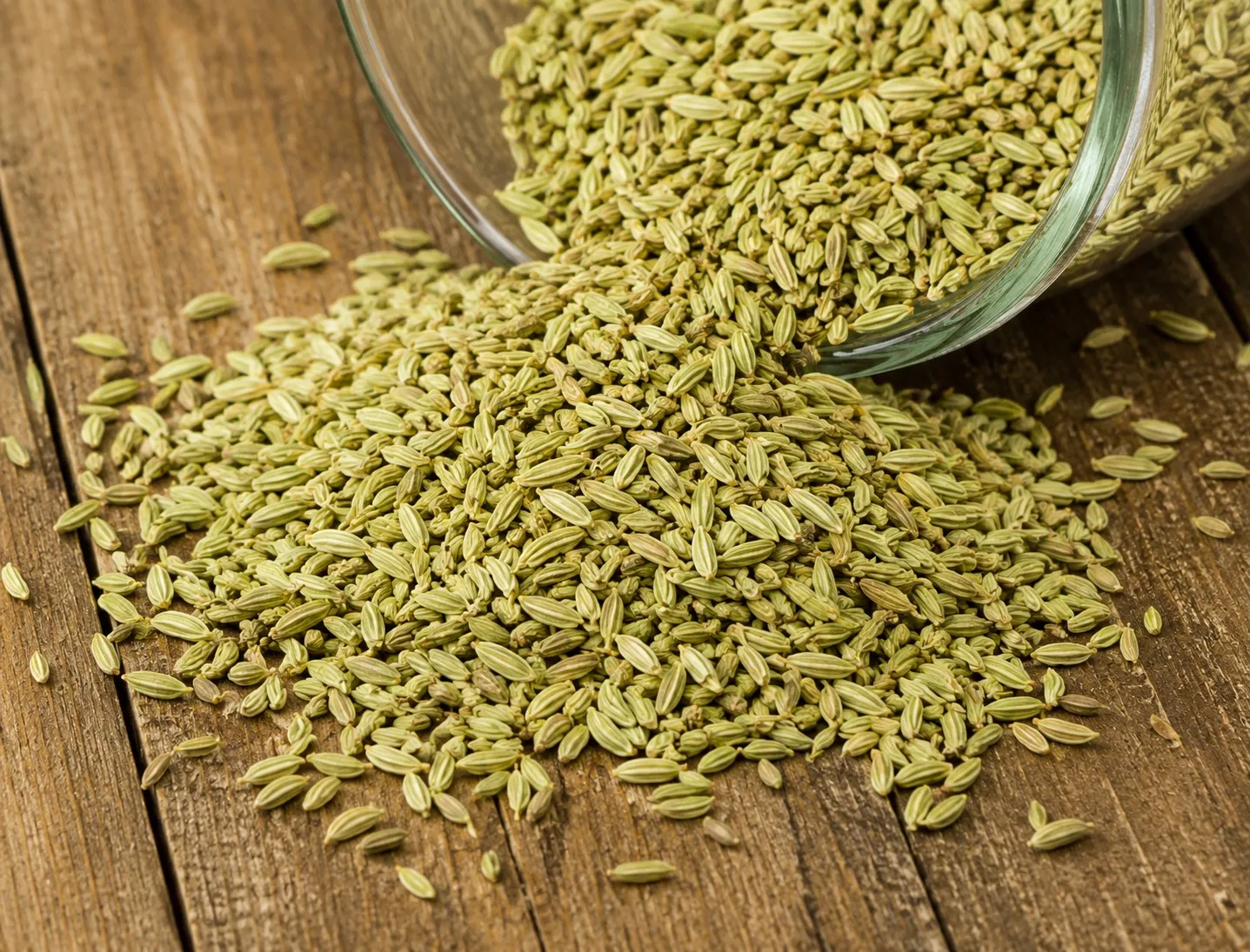 Fennel Seed